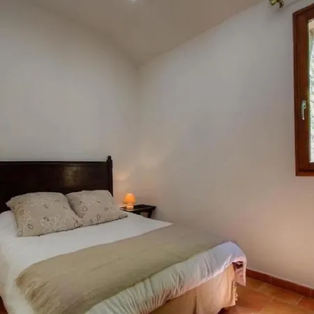 Haute Corse Centre Corse Castagniccia De Petrera 1 Nyaraló